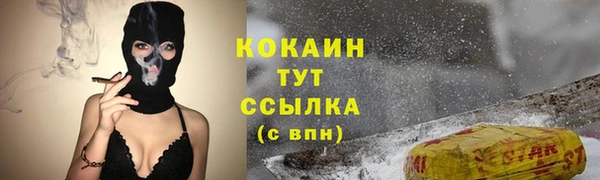 стаф Абинск