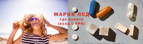 стаф Абинск